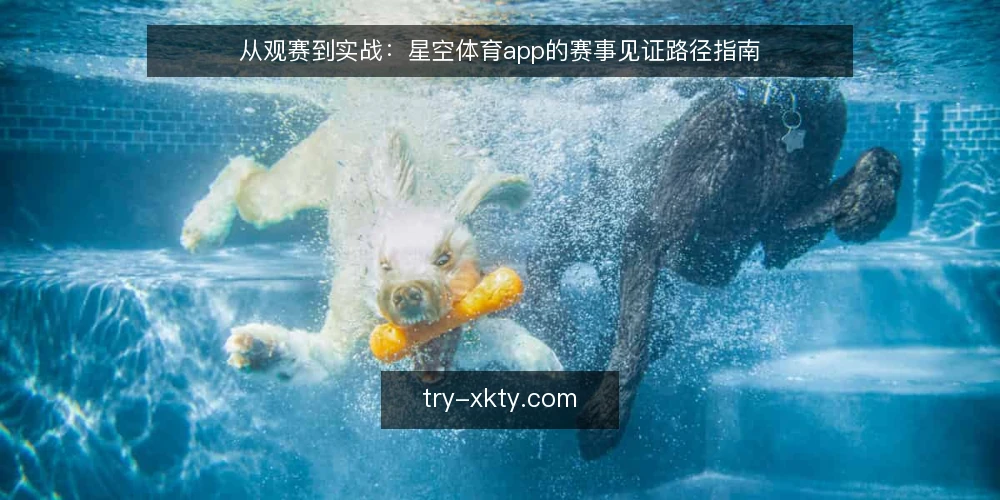 从观赛到实战：星空体育app的赛事见证路径指南 — 准备：明确你的观赛目标与信息需求 配图