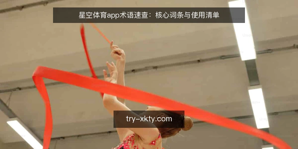 星空体育app术语速查：核心词条与使用清单 — 为什么现在需要术语审计 配图