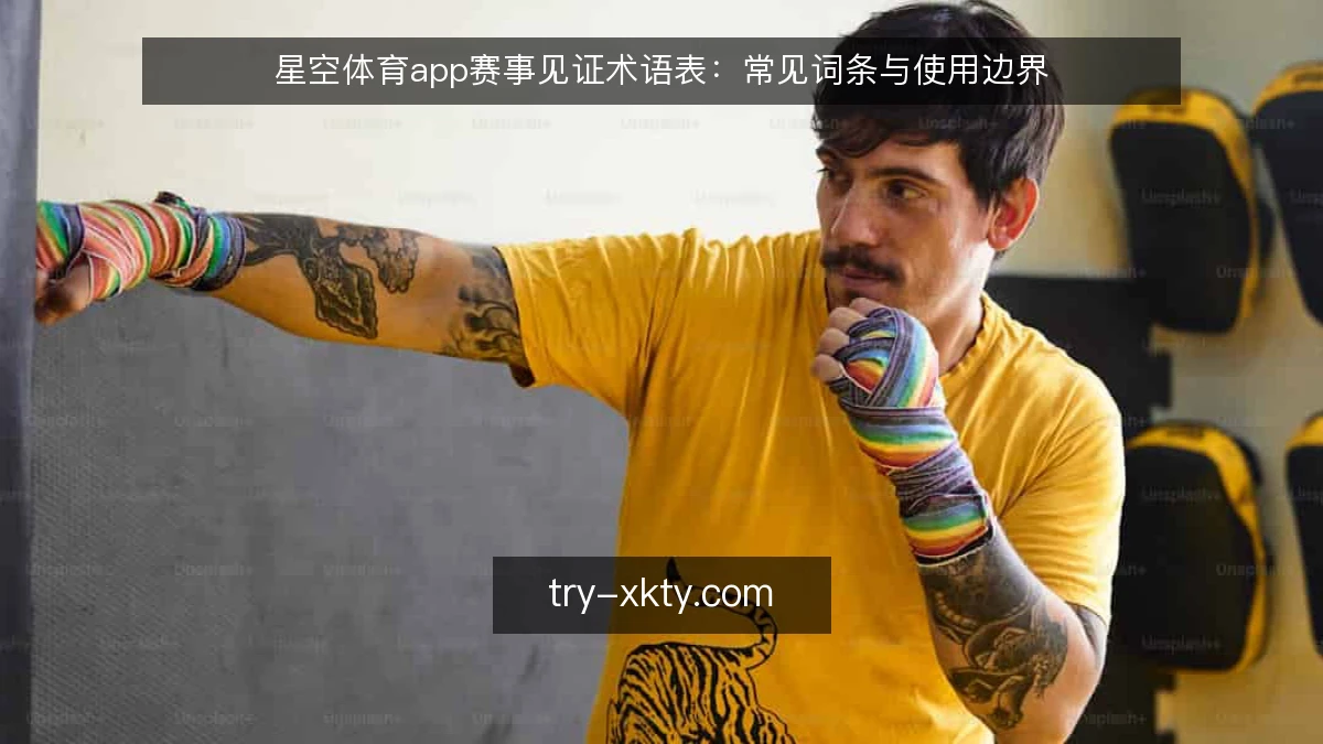 星空体育app赛事见证术语表：常见词条与使用边界
